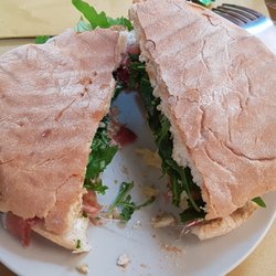 Retro Vine Bar - Panini