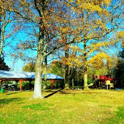 Pattison Park - Playground/picnic shelter