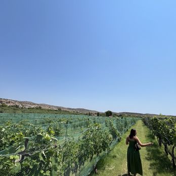 Bliss Wine Tours - Wine Tours Near Me Bliss Wine Tours - Wine Tours Near Me