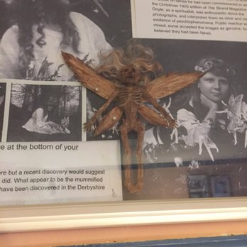 Cryptozoology & Paranormal Museum - Museums Near Me - Littleton, North Carolina Cryptozoology & Paranormal Museum - Museums Near Me - Littleton, North Carolina