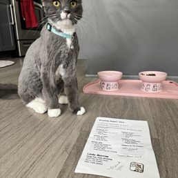 After photo with report card of how my pet did After photo with report card of how my pet did