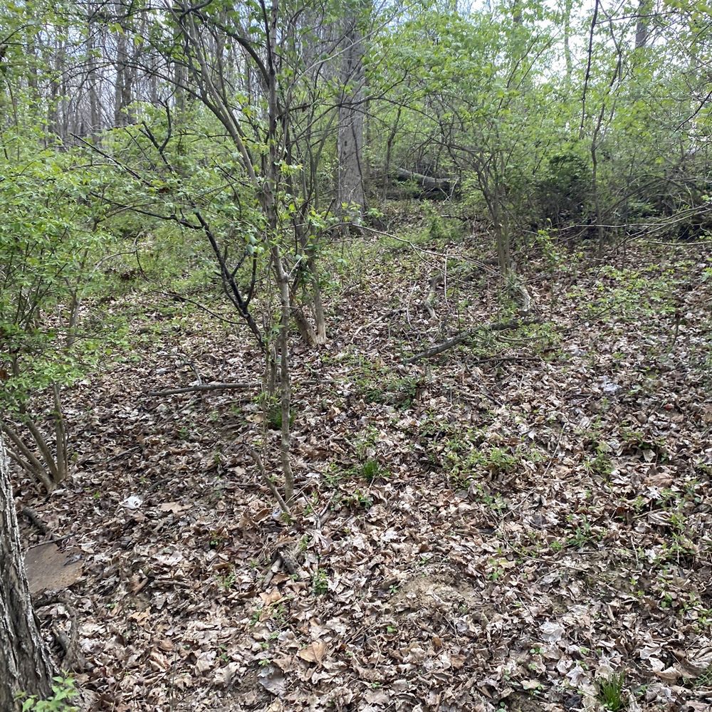 Lincoln Woods Park - Parks Near Me - Florence, Kentucky