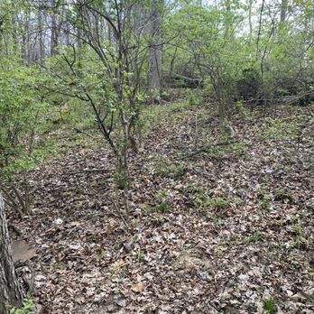 Lincoln Woods Park - Parks Near Me - Florence, Kentucky Lincoln Woods Park - Parks Near Me - Florence, Kentucky