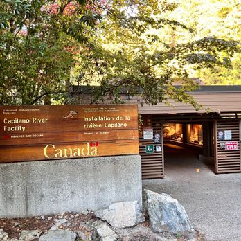Capilano Salmon Hatchery - Parks Near Me - North Vancouver, British Columbia Capilano Salmon Hatchery - Parks Near Me - North Vancouver, British Columbia