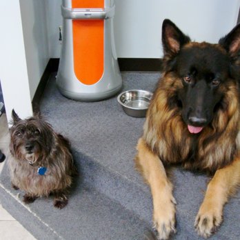 1. Broadway Veterinary Hospital