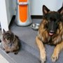 Photo of Broadway Veterinary Hospital