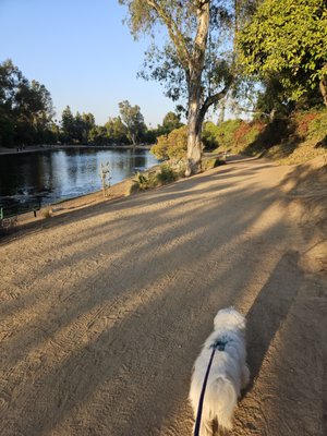Laguna Lake Park by null