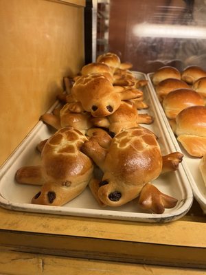 Pastry House Hippo by null