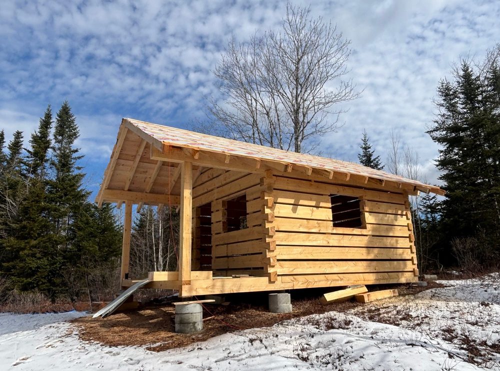 Three Tree - tree service in Columbia Falls, ME