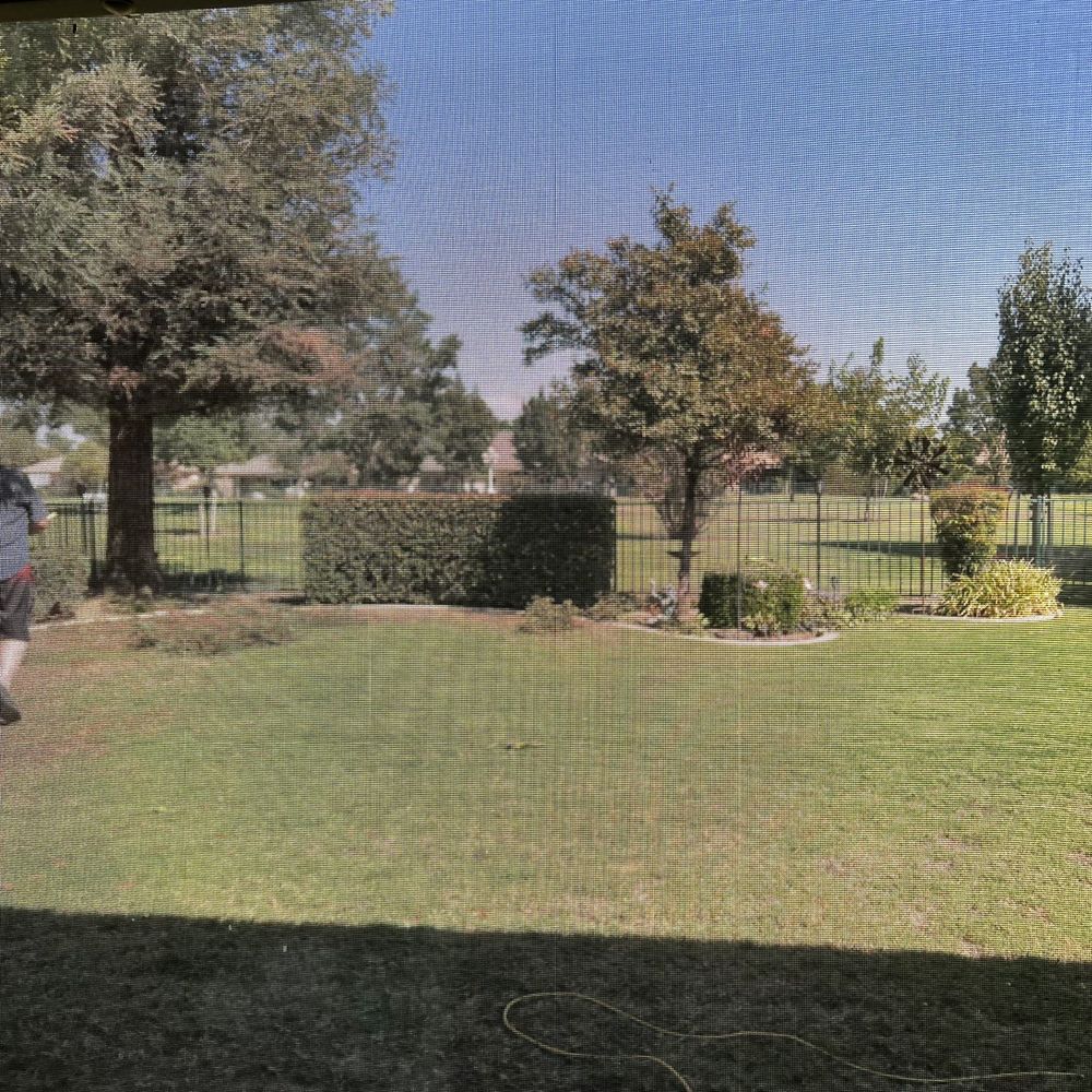 Art's Tree Service - Tree Services Near Me