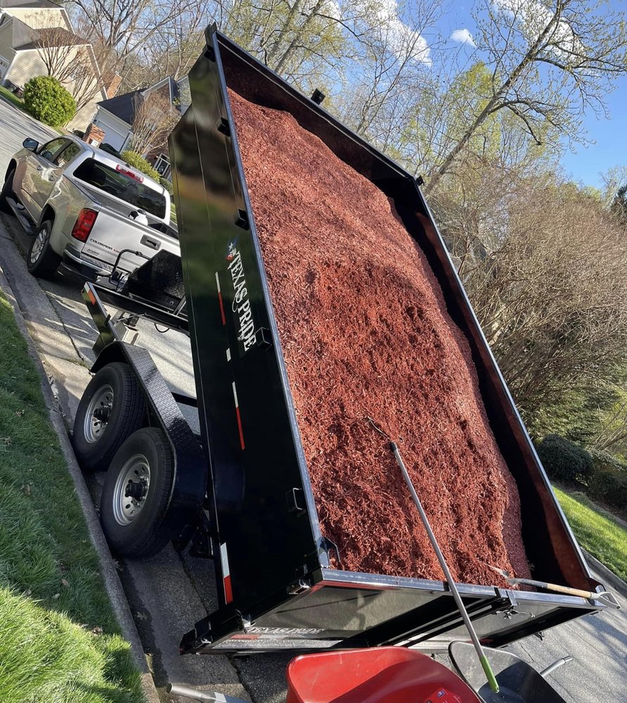 Zays Lawn Service - tree service in Reidsville, NC