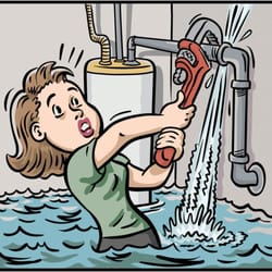Restore It - Water Damage Specialist