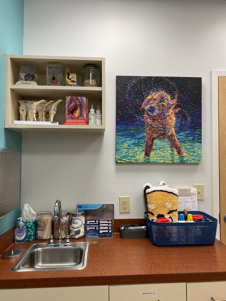 AMC OF GARNER VETERINARY HOSPITAL Updated October 2024 20 Photos