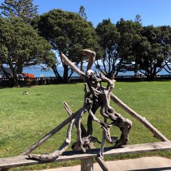 Days Bay Pavillion - Sit at the park with beach across the road