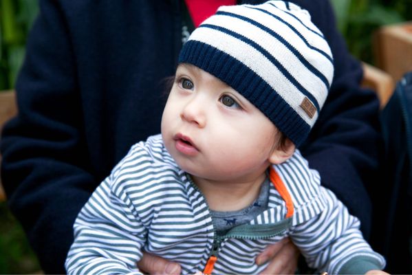 Bob's Corn & Pumpkin Farm by null