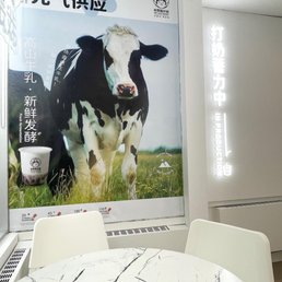 a cow in a field