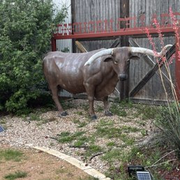 Longhorn statute Longhorn statute