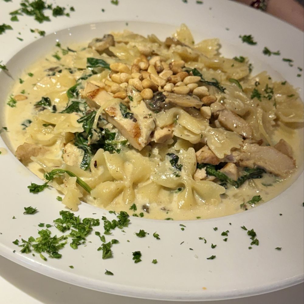 Zaza's - Farfalle con Pollo Lunch - Italian Near Me - Clarendon Hills, Illinois Zaza's - Farfalle con Pollo Lunch - Italian Near Me - Clarendon Hills, Illinois