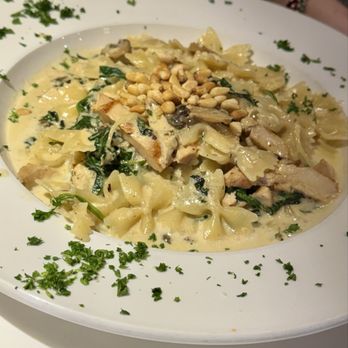 Zaza's - Farfalle con Pollo Lunch - Italian Near Me - Clarendon Hills, Illinois Zaza's - Farfalle con Pollo Lunch - Italian Near Me - Clarendon Hills, Illinois