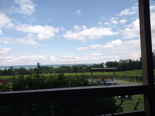 Buttonwood Grove Winery by null