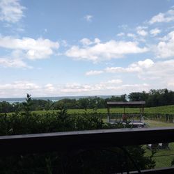 Buttonwood Grove Winery - View from the shaded porch