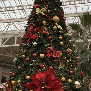 Gaylord Opryland Texas - Hotels Near Me - Grapevine, Texas