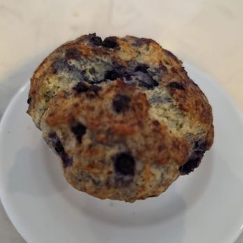 Blueberry Muffin - Blueberry muffin - Breakfast & Brunch Near Me - Indialantic, Florida