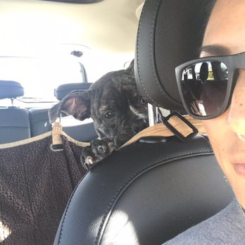 The Animal Keeper - Off to first day of day care! - Pet Sitting Near Me - Poway, California