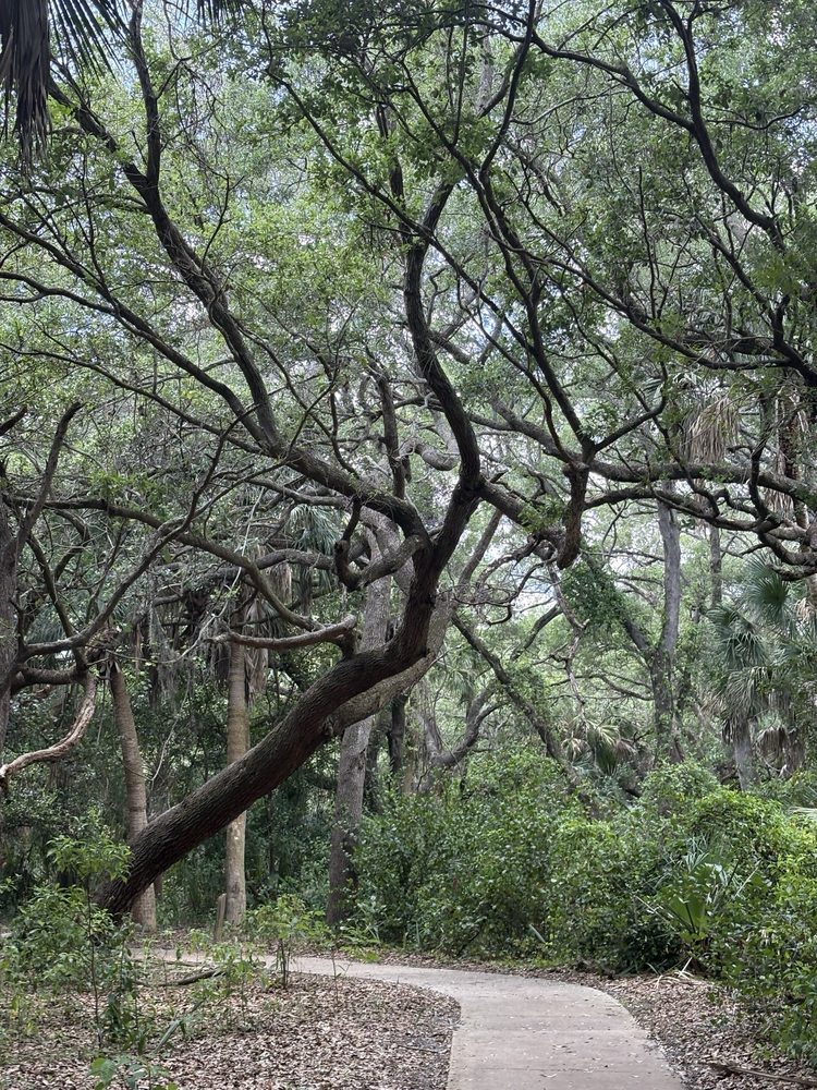 Frenchman's Forest Natural Area Image