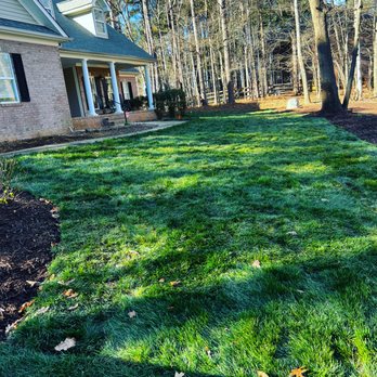 Tiger Walk Landscaping - Fresh laid Fescue Sod - Landscaping Near Me Tiger Walk Landscaping - Fresh laid Fescue Sod - Landscaping Near Me