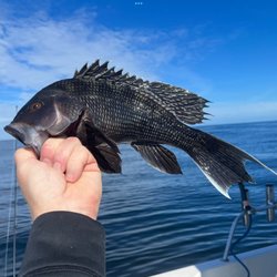 Great Bay Outfitters