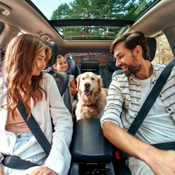 Cost Wise Insurance