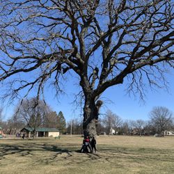 Texas Drive Park - Kids trying to climb the tree