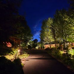 Luna Lighting