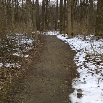 Hazel Landing Park - easy to find paths for the disc golf - Parks Near Me - Carmel, Indiana