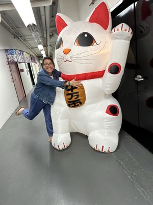 Lucky Cat Museum by Appointment by null