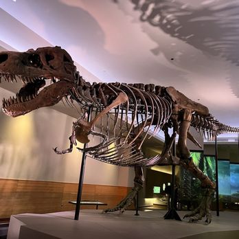 Field Museum - Museums Near Me - Chicago, Illinois