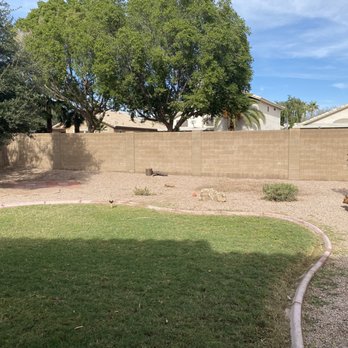 Misael Tree Service - After, mesquite gone - Tree Services Near Me