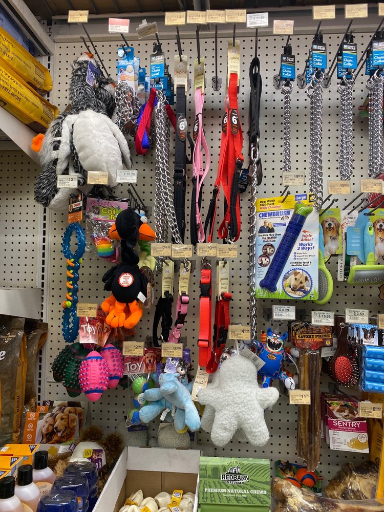 ORMOND ACE HARDWARE Updated October 2024 32 Photos & 12 Reviews