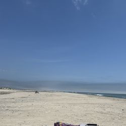 Burnham Guides Barrier Island Tour- outstanding!!