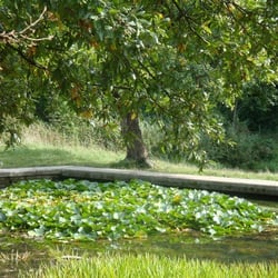 Pappelteich