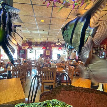 Steamers - Through the fish tank - The image shows an aquarium with colorful fish, including a large striped fish, positioned in front of a restaurant interior. Inside, there are wooden tables and chairs, with several diners seated and engaged in conversation. The restaurant has a decorated ceiling with ceiling fans, framed pictures on the walls, and red pendant lights. Natural light enters through windows, illuminating the dining area. - Hot Dogs Near Me - Winfield, Illinois
