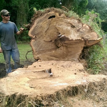 Lawson Tree Service - Tree Services Near Me - Mayo, Florida Lawson Tree Service - Tree Services Near Me - Mayo, Florida