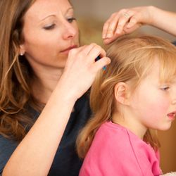 California's Lice Clinic - Lice nit clinic salon removal Folsom CA gentle check little girl