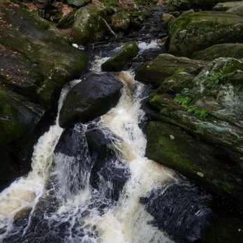 Enders State Forest - Parks Near Me - Granby, Connecticut