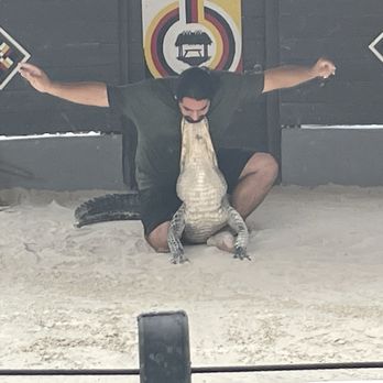 Miccosukee Indian Village - Alligator show - Amusement Parks Near Me - Miami, Florida Miccosukee Indian Village - Alligator show - Amusement Parks Near Me - Miami, Florida
