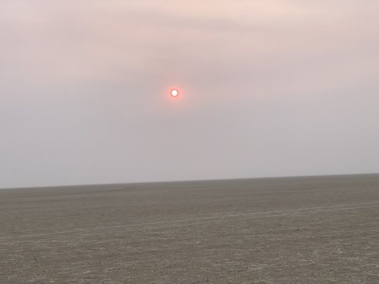 Alvord Desert by null