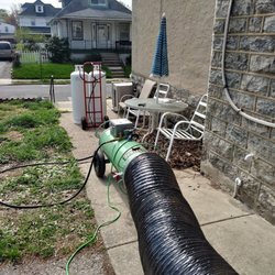 Bed Bugs Delco - Bed Bugs Delco