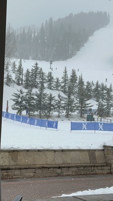 Park Hyatt Beaver Creek Resort and Spa by null