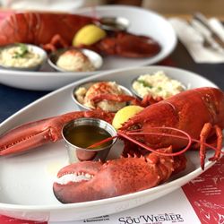 Sou'Wester Gift & Restaurant - Steamed lobsters